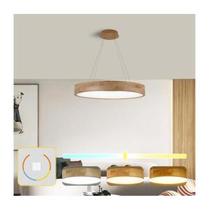 BRILAGI -LED Lustr na lanku FALCON WOOD LED/40W/230V 3000/4000/6000K 60 cm dřevo BRI534 obraz
