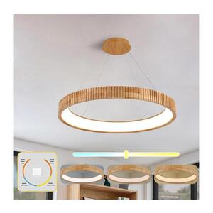 BRILAGI - LED Lustr na lanku FALCON WOOD MODERN LED/60W/230V pr. 80 cm dřevo BRI554 obraz