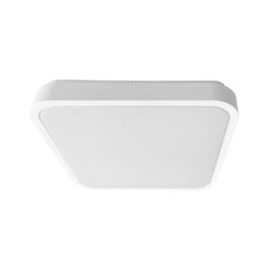 BRILAGI - LED Koupelnové strop. sv. ZENNA LED/24W/230V 34, 5x34, 5 cm IP44 bílá BRW3094-24W/BI obraz
