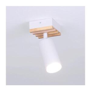 BRILAGI - Bodové svítidlo SELE WOOD ACOUSTIC 1xGU10/30W/230V bílá/dřevo WO-OEM-25CF-B01-WHT obraz