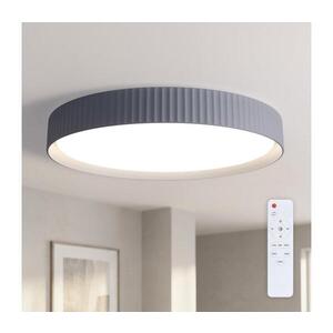 BRILAGI -LED Stmívatelné stropní svítidlo LUCIA LED/60W/230V pr. 59 cm šedá+DO WO800-OEM39-60 obraz