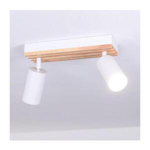 BRILAGI - Bodové svítidlo SELE WOOD ACOUSTIC 2xGU10/30W/230V bílá/dřevo WO-OEM-25CF-B02-WHT obraz