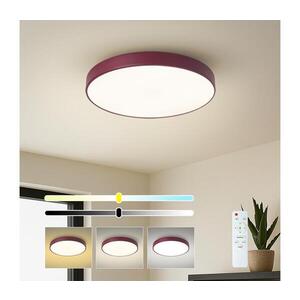 BRILAGI-LED Stm stropní svítidlo POOL LED/48W/230V 3000-6000K 40 cm burgundy+DO BRI693 obraz