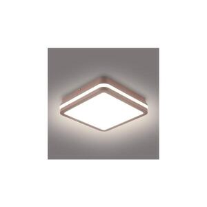 BRILAGI -LED Venkovní stropní svítidlo BENE LED/18W/230V 21, 5x21, 5 cm hnědá IP54 BRI735 obraz