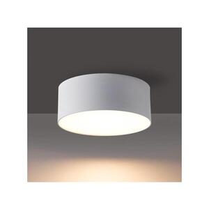 BRILAGI - LED Koupelnové stropní svítidlo FORIS LED/14W/230V pr. 12 cm bílá IP44 BRI614 obraz
