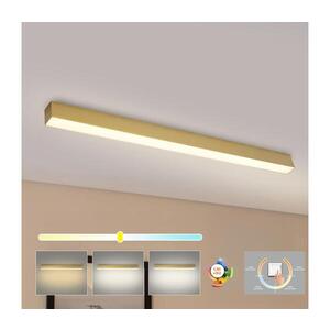 BRILAGI - LED Koupelnové stropní svítidlo SLEEKLINE LED/40W/230V zlatá IP44 BRI474 obraz