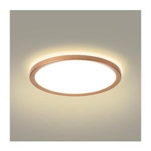 BRILAGI - LED Koup. str. svít. ULTRA SLIM LED/24W/230V pr. 42 cm rose gold IP54 BRI630 obraz