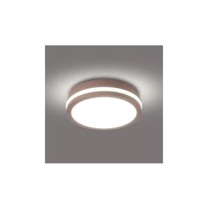 BRILAGI - LED Venkovní stropní svítidlo BENE LED/18W/230V pr. 21, 5 cm hnědá IP54 BRI731 obraz