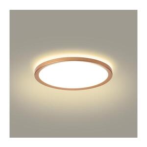 BRILAGI - LED Koup. str. svít. ULTRA SLIM LED/18W/230V pr. 30 cm rose gold IP54 BRI628 obraz