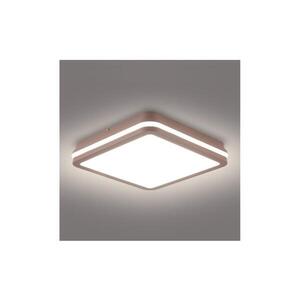 BRILAGI -LED Venkovní stropní svítidlo BENE LED/24W/230V 26x26 cm hnědá IP54 BRI737 obraz