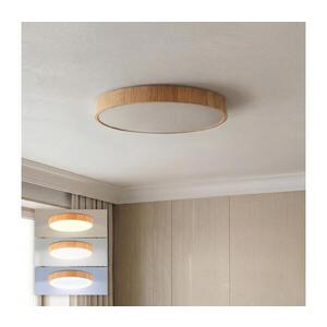 BRILAGI -LED Strop. svít. POOL LED/48W/230V 3000/4000/6000K pr. 40 cm dek. dřeva WO800-OEM47-40-CCT obraz