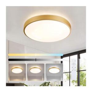 BRILAGI - LED Stmívat. svítidlo GLASS POOL DOUBLE LED/48W/230V 40 cm zlatá + DO BRI742 obraz