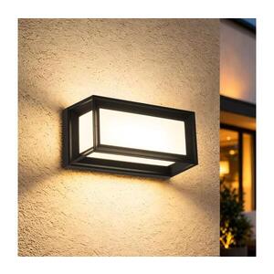 BRILAGI - LED Venkovní nástěnné svítidlo PARKER LED/12W/230V černá IP44 BRI770 obraz