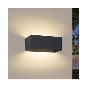 BRILAGI - LED Venkovní nástěnné svítidlo DONNANI LED/7W/230V 20 cm černá IP44 BRI759 obraz