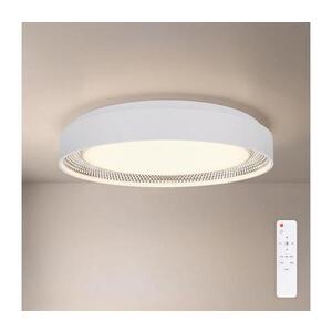 BRILAGI - LED Stmív. strop. svítidlo WALDO LED/48W/230V pr. 40 cm bílá/stříb.+DO WO800-OEM48-40-WHT obraz