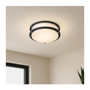 BRILAGI - Stropní svítidlo ELARO 2xE27/40W/230V pr. 26 cm černá BRI871 obraz