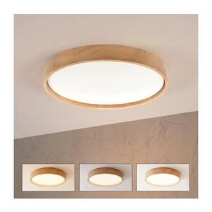 BRILAGI - LED Stm stropní svítidlo MANAROLA SMART LED/36W/230V pr. 51 cm + DO 8590828037811 obraz