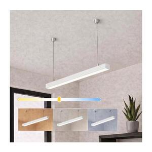 BRILAGI - LED Závěs. svít. FULLDAY LED/10/15/20W/230V 2700/4000/6000K 60 cm bílá 1xBG47308CCT_PW obraz