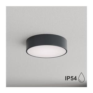 BRILAGI - Koupel. stropní svítidlo CLARE 2xE27/24W/230V pr. 30 cm antracit IP54 8590828125679 obraz