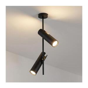 BRILAGI - Lustr na tyči BRANCH 2xGU10/30W/230V černá WO-N10-02-BLK-OEM obraz