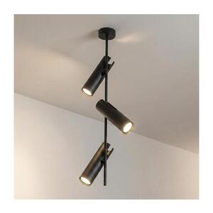 BRILAGI - Lustr na tyči BRANCH 3xGU10/30W/230V černá WO-N10-03-BLK-OEM obraz