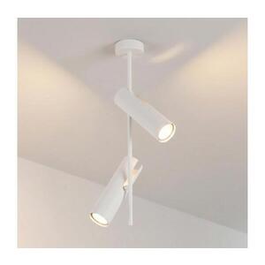 BRILAGI - Lustr na tyči BRANCH 2xGU10/30W/230V bílá WO-N10-02-WHT-OEM obraz