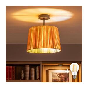 BRILAGI - LED Přisazený lustr CERIA BOHO 1xE27/60W/230V pr. 30 cm černá/rafie BG3989+EG781157 obraz