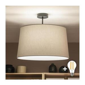 BRILAGI - LED Přisazený lustr CERIA 1xE27/60W/230V pr. 45 cm černá/šedá BG3989+EG781042 obraz