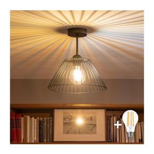 BRILAGI - LED Přisazený lustr CERIA WIRE 1xE27/60W/230V pr. 30 cm černá BG3989+EG300163 obraz
