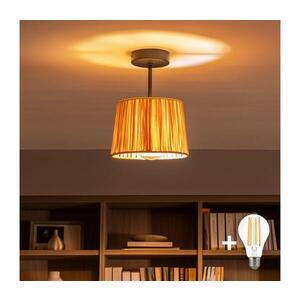 BRILAGI - LED Přisazený lustr CERIA BOHO 1xE27/60W/230V pr. 20 cm černá/rafie BG3989+EG781156 obraz