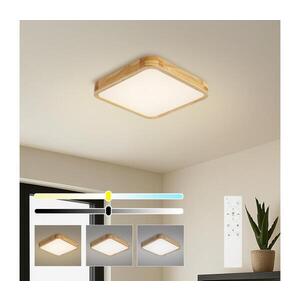 BRILAGI - LED Stmív. svítidlo WOODLINE SQUARE LED/48W/230V dub 40x40 cm + DO BRI900 obraz