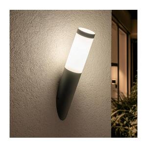 BRILAGI - Venkovní nástěnná lampa ELIA 1xE27/20W/230V IP44 antracit GD-EL0040-93 obraz