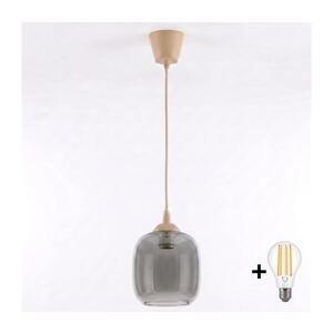 BRILAGI - LED Lustr na lanku R GLASS 1xE27/60W/230V pr. 14 cm béžová/kouř šedá NSTK7758+TK8619A obraz