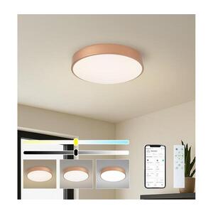 BRILAGI-LED Stmív. svítidlo POOL SMART LED/48W/230V 40 cm Wi-Fi Tuya bronz + DO BRI1022 obraz