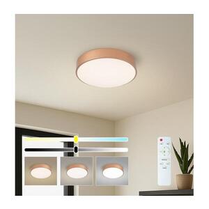 BRILAGI - LED Stmívatelné str. svítidlo POOL LED/36W/230V pr. 30 cm bronzová +DO BRI1016 obraz