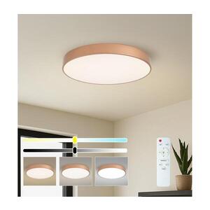 BRILAGI - LED Stmívatelné str. svítidlo POOL LED/60W/230V pr. 60 cm bronzová +DO BRI1051 obraz