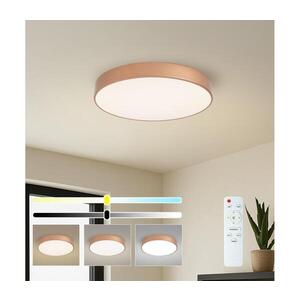 BRILAGI - LED Stmívatelné str. svítidlo POOL LED/60W/230V pr. 50 cm bronzová +DO BRI1029 obraz