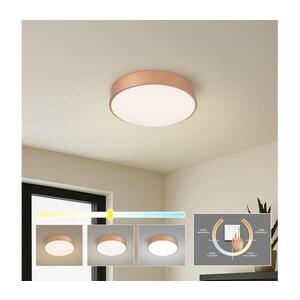 BRILAGI - LED Stropní svít. POOL LED/36W/230V 3000/4000/6000K pr. 30 cm bronzová BRI1015 obraz