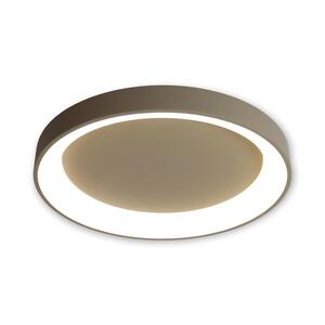 BRILAGI - LED Stm stropní svítidlo FALCON II LED/99W/230V pr. 60 cm béžová + DO BRC2668-600/BG obraz