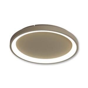 BRILAGI - LED Stm stropní svítidlo FALCON SLIM LED/42W/230V béžová + DO BRX1330-500/BG obraz