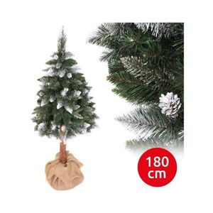 Vánoční stromek PIN 180 cm borovice SCP 180 obraz