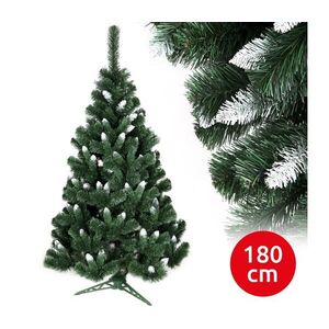 Vánoční stromek NARY I 180 cm borovice MSZWBK 180 obraz