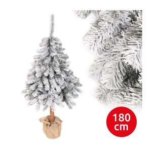 Vánoční stromek PIN 180 cm jedle SŚP 180 obraz
