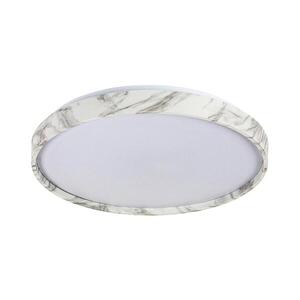 Rabalux 71518 - LED Stm stropní sv TERESIA 24W/230V 3000-6500K pr. 38 cm bílá+DO 71518 obraz