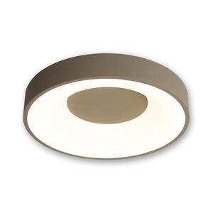 BRILAGI - LED Stm stropní svítidlo FALCON II LED/67W/230V pr. 40 cm béžová + DO BRC2668-400/BG obraz