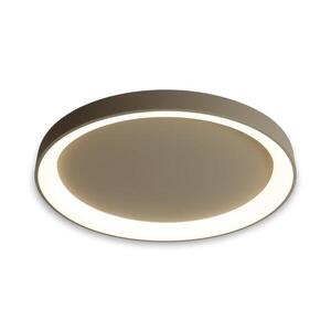 BRILAGI - LED Stm stropní svítidlo FALCON II LED/108W/230V pr. 80 cm béžová + DO BRCX2668-800/BG obraz