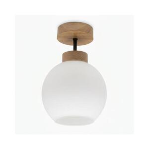 BRILAGI - LED Přisazený lustr RETRO GLASS 1xE27/60W/230V pr. 15 cm dub/bílá BG3986+NSTK7432 obraz