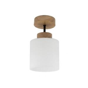 BRILAGI - LED Přisazený lustr RETRO GLASS 1xE27/60W/230V pr. 10 cm dub/bílá BG3986+NSTK7006 obraz