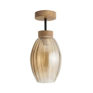 BRILAGI - LED Přisazený lustr R GLASS 1xE27/60W/230V pr. 17cm dub/kouřová béžová BG3986+NSTK7499 obraz