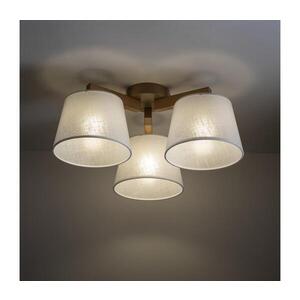 BRILAGI - LED Přisazený lustr LATTE SABIA 3xE27/15W/230V borovice/bílá 11573 obraz